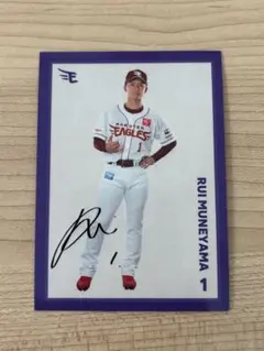 Item thumbnail for item a0fa5d9d-d32d-4968-92ce-d40aff31ca54