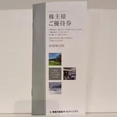東急不動産ホールディングス株主優待券
