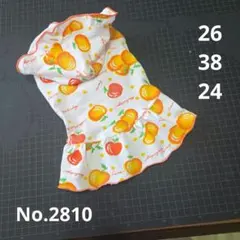 No.2810　Sサイズ　犬服　ハンドメイド　ワンピース