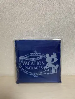 東京ディズニーリゾート バケーションパッケージ 限定エコバッグ