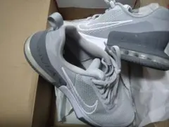 NIKE FQ1833-002（28.0㎝） グレー　２日間使用