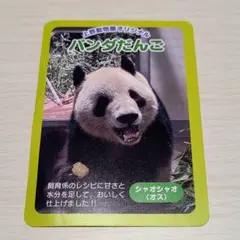 Item thumbnail for item def23f8b-4ecd-41bb-b19a-add56b716170