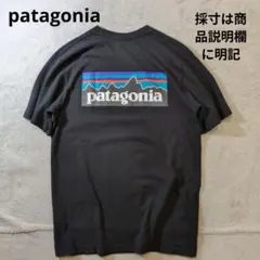 patagonia パタゴニア クルーネック 前後ロゴ 半袖Tシャツ ブラック