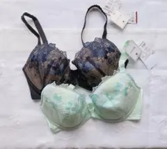 Item thumbnail for item c0ca9e34-56e3-4eb5-a69e-c9808f257c8e