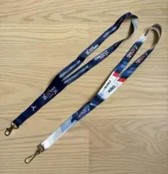 Red Bull Air Race ネックストラップ2本セット