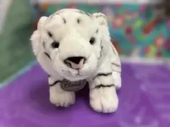 Item thumbnail for item 997454c7-bd8f-458a-8579-ccb577bfcbdc