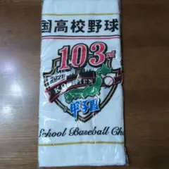 第103回全国高校野球選手権大会記念タオル