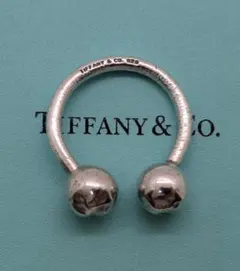 Tiffany&Co. エターナルクロス ネックレス トップ ティファニー 希少 