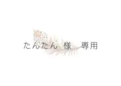 たんたん様専用ページ(option追加)