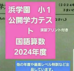 浜学園 小1 公開テスト 国語 算数 2017年度 浜学園 小1 公開学力テスト 国語 算数 2教科 フルセット の通販