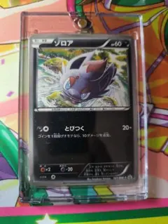 ポケモンカード ゾロア ゾロアーク ジャンボカード キャンペーン