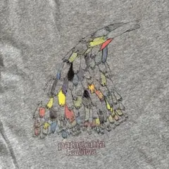 patagonia Tシャツのサムネイル