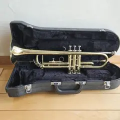 2025年最新】ジュピタートランペットの人気アイテム - メルカリ