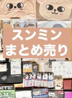 スキズ スンミン PuppyM グッズ トレカ 大量まとめ売り - メルカリ