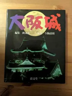 Item thumbnail for item b03bbc7b-48e0-4ca7-816f-740c7ba8689e