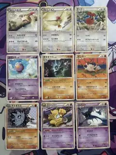 《DPレギュ》《やや美品》ピジョットなど【9種セット】