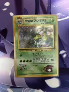 エリカのフシギバナ