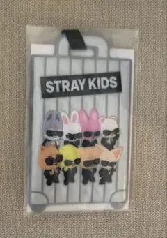 スキズ StrayKids アプグレ 国立　ラゲッジタグ