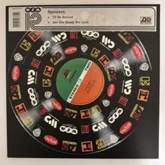 SPAWN THE ALBUM 10インチアナログレコード 3枚組 - メルカリ