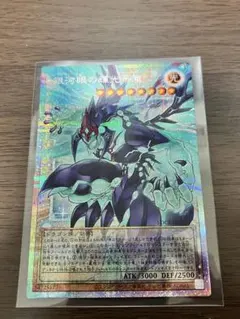 テ*ツ様 銀河眼の輝光子竜 (遊戯王OCG)