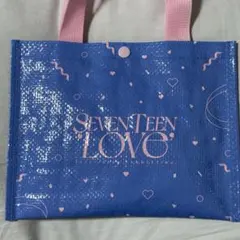 SEVENTEEN セブチ ファンミ LOVE プレミアムシート特典