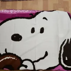 本日価格※プロフ必読※ミスドスヌーピーブランケット