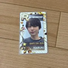 BUDDiiS HARUKI シュスエビ トレカ カード