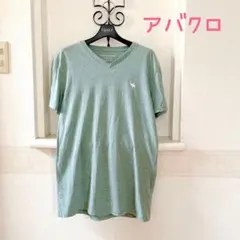 美品♡【アバクロ】Abercrombie&Fitch  半袖　Tシャツ　シャツ