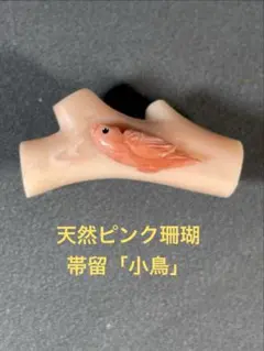 天然珊瑚/帯留/サンゴ/さんご/コーラル/和装小物/冠婚葬祭 Ｏー037