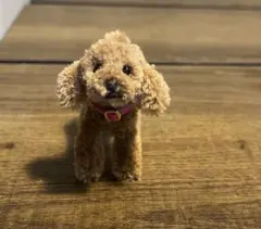 Item thumbnail for item e6398bb9-ff56-489d-b94e-c84322bb94e3