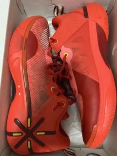 リーニン バスケットボール