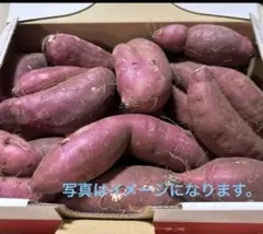 さつまいもさ紅はるか　少し大き目サイズ満杯or1.5kgを発送致します訳あり