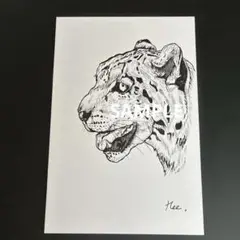 ヒョウ ペン画 イラスト アート