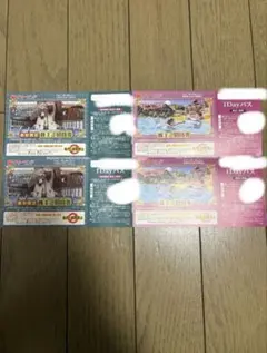 東京サマーランド株主優待券のサムネイル