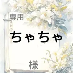 ちゃちゃ 様　専用