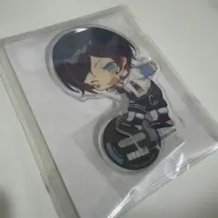 Crazy Raccoon ໒꒱ gigo デフォルメアクリルスタンド うるか