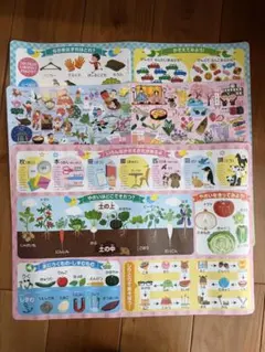 小学校受験 知育玩具