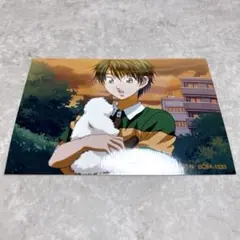 テニスの王子様 テニプリ 非売品 ブロマイド スナップ写真 越前リョーマ 猫