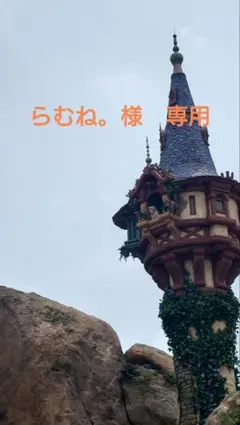 ディズニー　ディズニーリゾートピンバッジ