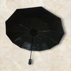 Item thumbnail for item cf6fd961-002f-405b-885d-b306afc37b2c