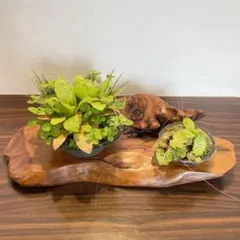 Item thumbnail for item 7b9ec81e-85de-4eb7-aa77-cd0a8beafce1