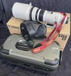 2026年最新】EF 500mm F4L IS USMの人気アイテム - メルカリ