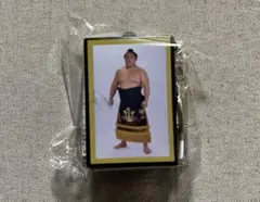 Item thumbnail for item e9755160-8b10-4587-b2bc-9cca41587c95