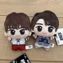 2026年最新】RIIZE ぬいぐるみ ウォンビンの人気アイテム - メルカリ