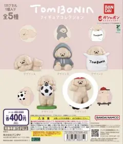 tombonia フィギュアコレクション　デザインCトムボニア　トイプードル