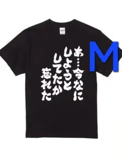 4-111　新品　M　おもしろTシャツ　半袖Tシャツ　面白い　ギャグ