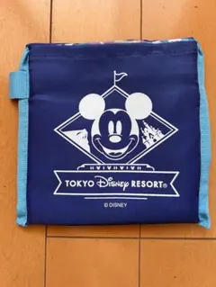 ディズニーランド　ディズニー　エコバッグ