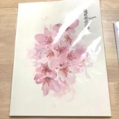 滝沢歌舞伎　パンフレット　ZERO final SnowMan 2023 美品