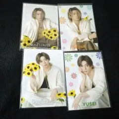 八木勇征　瀬口黎弥　SUNFLOWER 第1弾 フォトカード