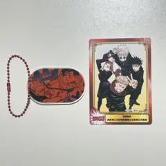 呪術廻戦 カラフルチェーンコレクション キーホルダー SCFフェアカード